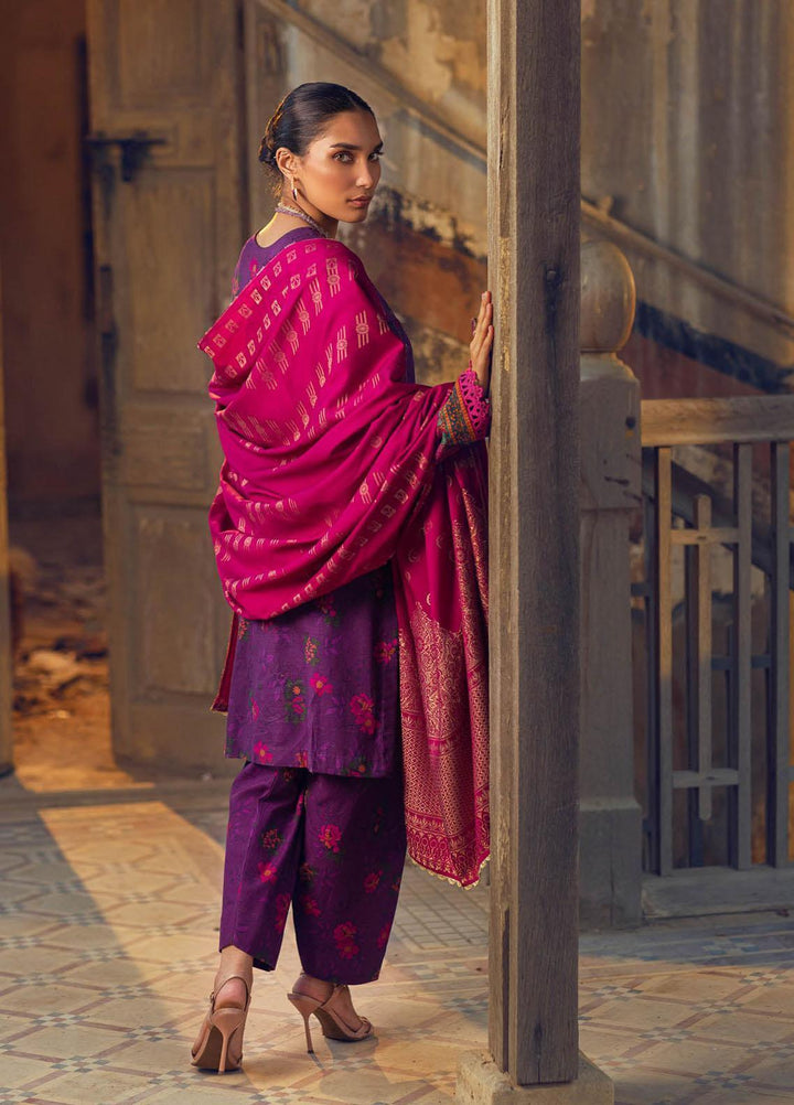 RajBari Embroidered Khaddar Suits Unstitched 3 Piece RB22WE 3B - Winter Collection