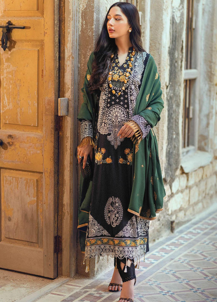 RajBari Embroidered Karandi Suits Unstitched 3 Piece RB22WE 4A - Winter Collection