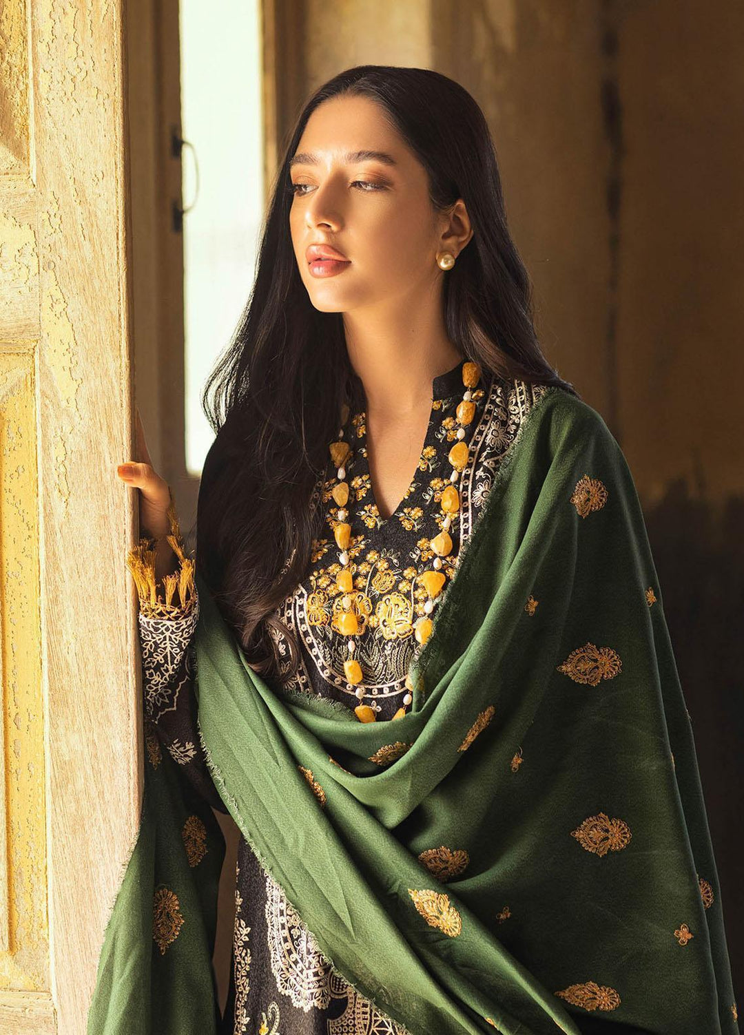 RajBari Embroidered Karandi Suits Unstitched 3 Piece RB22WE 4A - Winter Collection