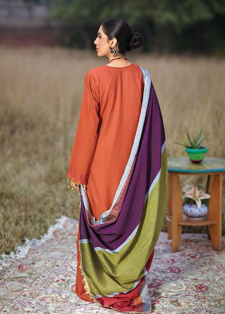 RajBari Embroidered Karandi Suits Unstitched 3 Piece RB21W 7B - Winter Collection