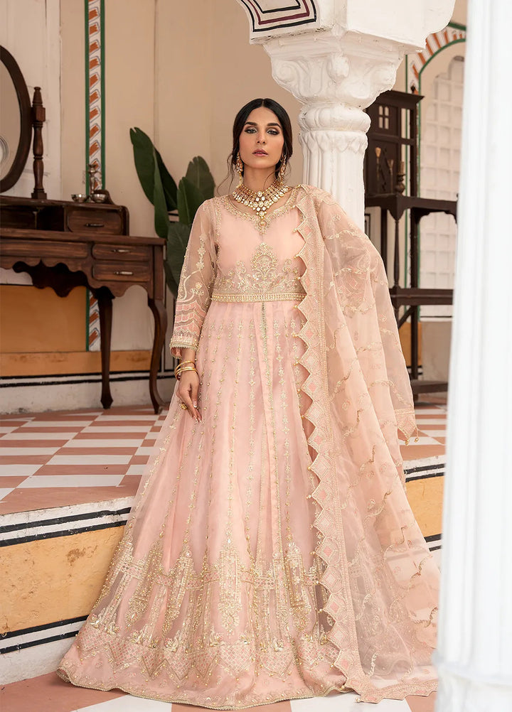 Rajwani by HM Pret Embroidered Organza 3 Piece Suit Ghazal
