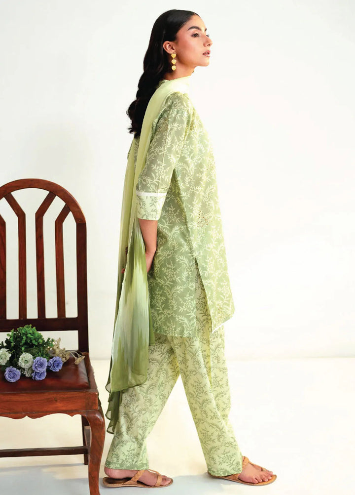 Rang e Bahar by Humdum Embroidered Lawn Suits Unstitched 3 Piece HD25RB D-09 - Summer Collection