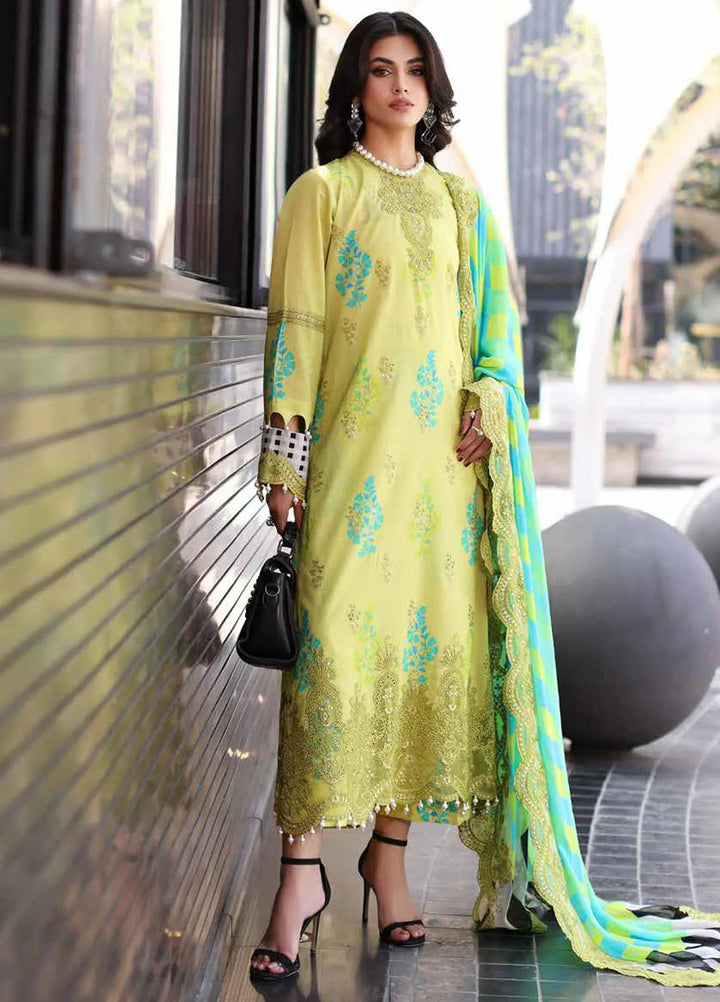 Rang-E-Bahar Embroidered Lawn Suit Unstitched 3 Piece CRZ24RB CRB4-16 - Spring Summer Collection