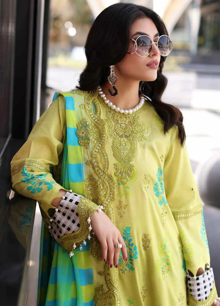 Rang-E-Bahar Embroidered Lawn Suit Unstitched 3 Piece CRZ24RB CRB4-16 - Spring Summer Collection