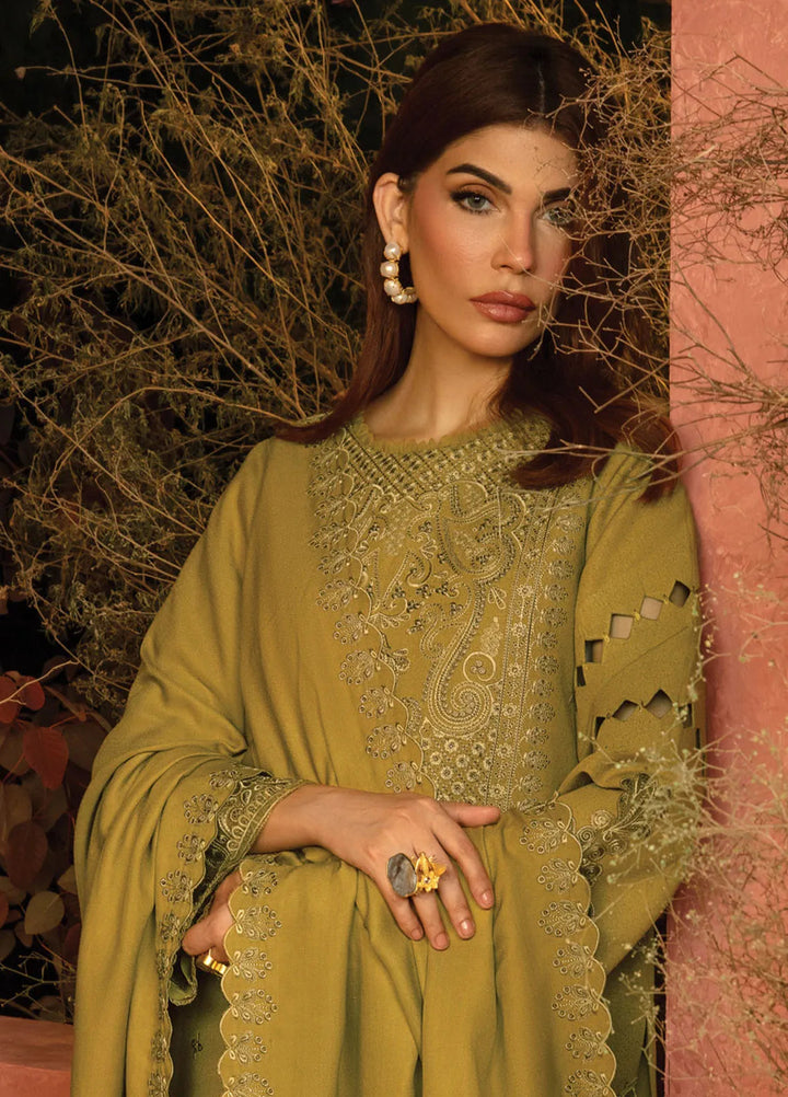 Rang Rasiya Embroidered Karandi Suit Unstitched 3 Piece D-10 Cardamom - Winter Collection