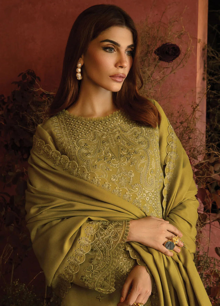 Rang Rasiya Embroidered Karandi Suit Unstitched 3 Piece D-10 Cardamom - Winter Collection