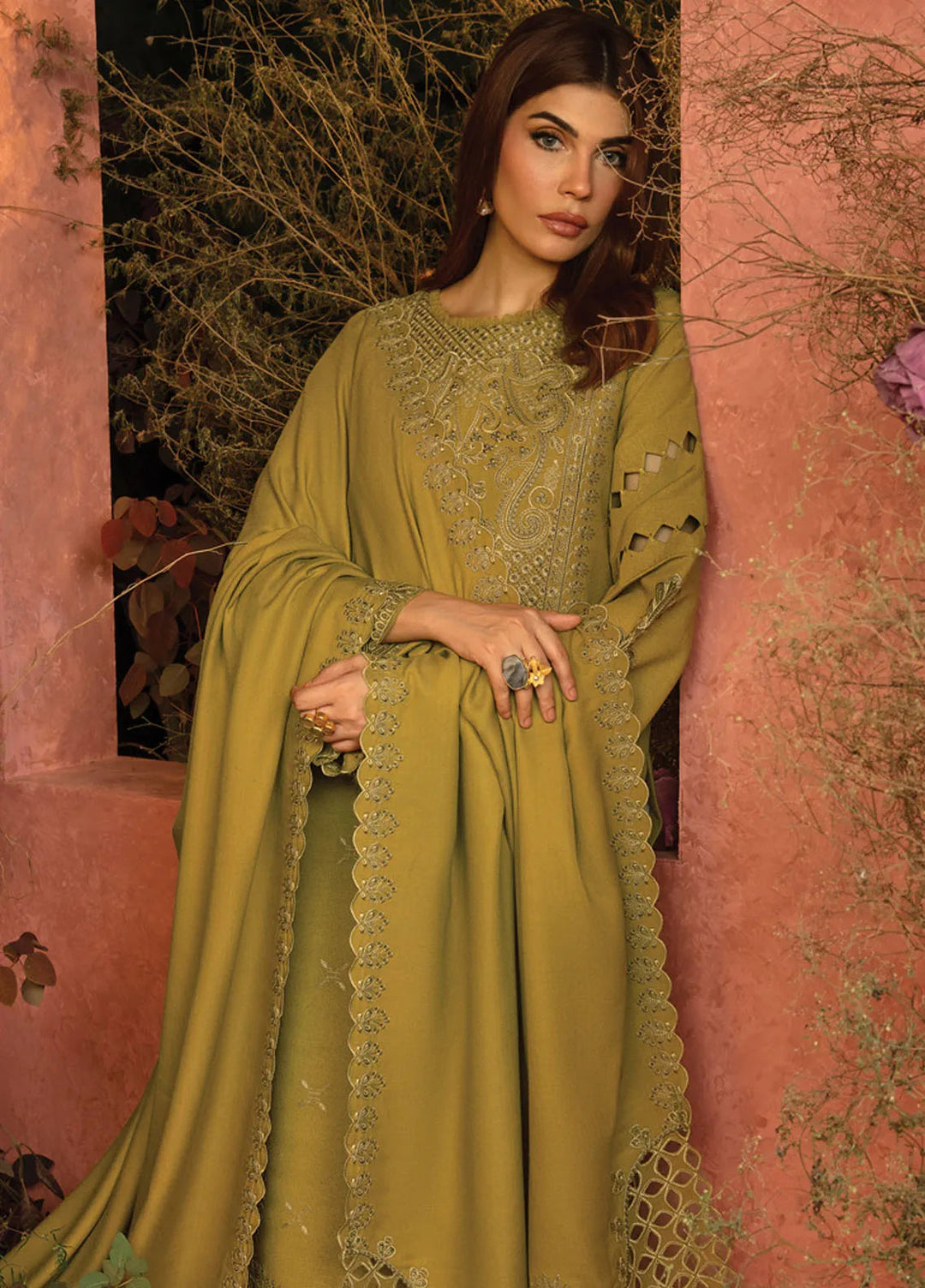 Rang Rasiya Embroidered Karandi Suit Unstitched 3 Piece D-10 Cardamom - Winter Collection
