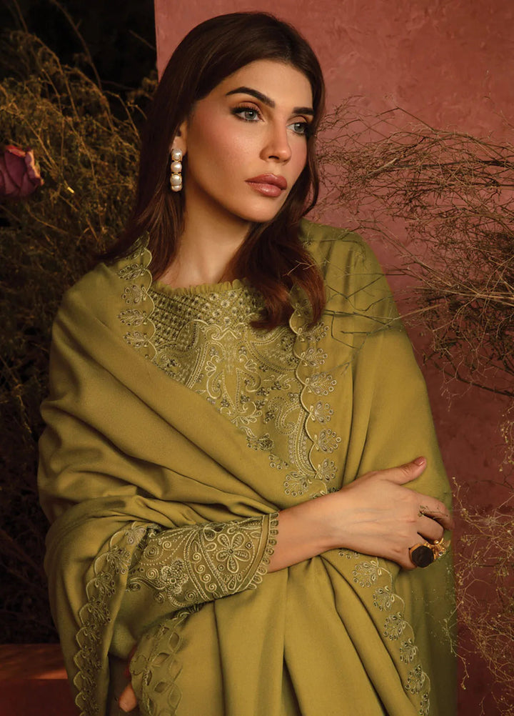 Rang Rasiya Embroidered Karandi Suit Unstitched 3 Piece D-10 Cardamom - Winter Collection