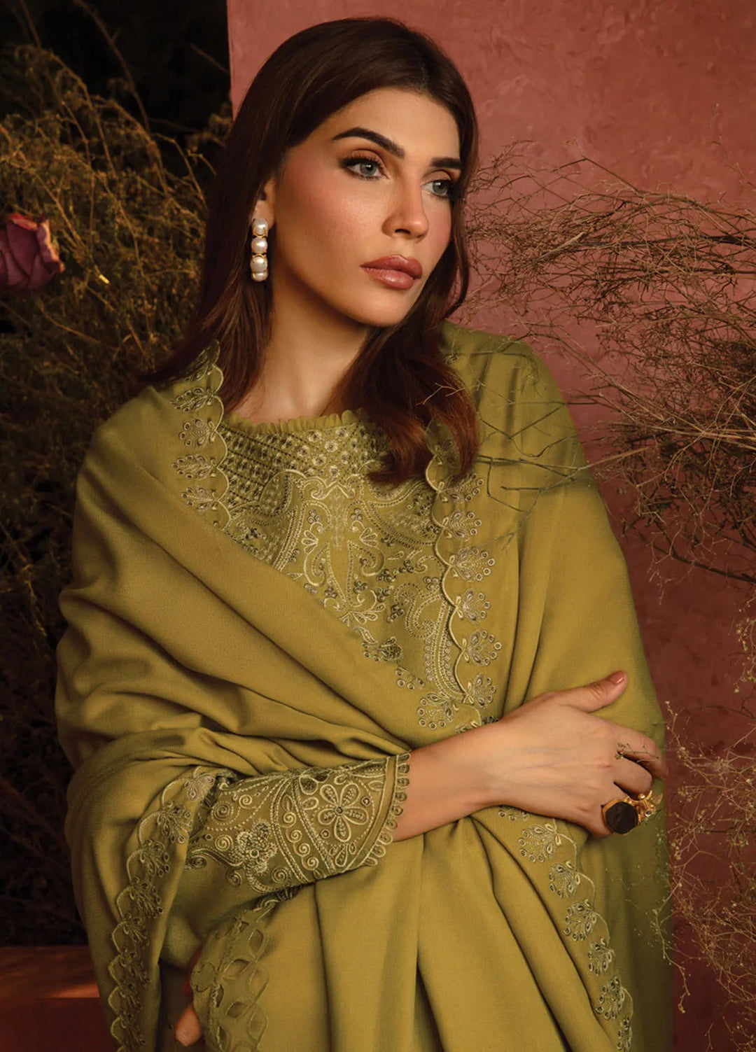 Rang Rasiya Embroidered Karandi Suit Unstitched 3 Piece D-10 Cardamom - Winter Collection
