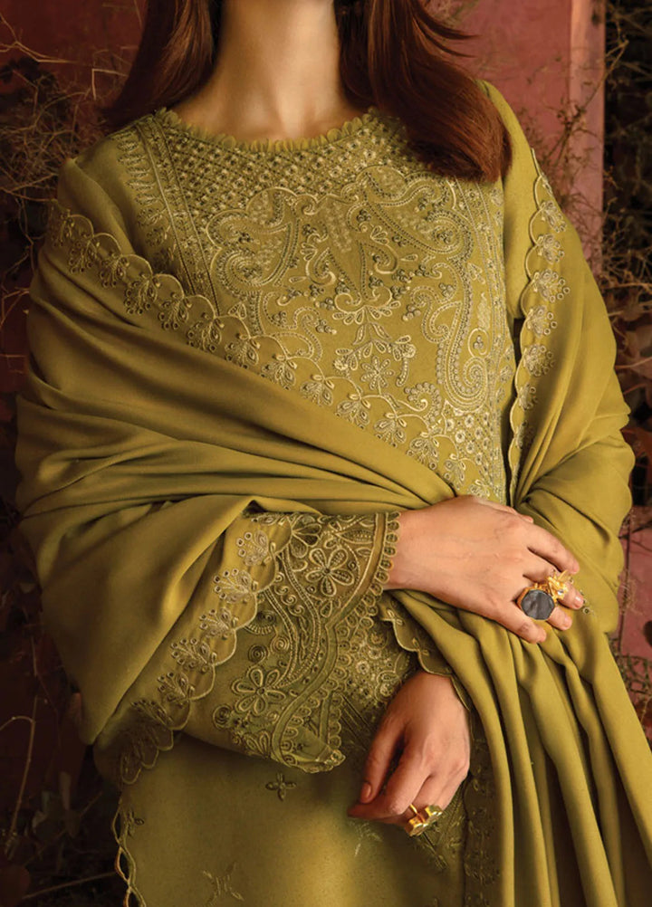 Rang Rasiya Embroidered Karandi Suit Unstitched 3 Piece D-10 Cardamom - Winter Collection