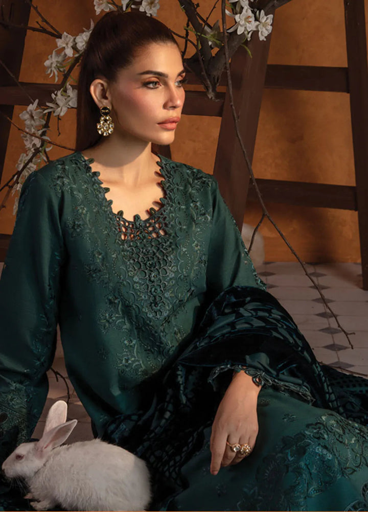 Rang Rasiya Embroidered Khaddar Suit Unstitched 3 Piece D-05 Affogato - Winter Collection