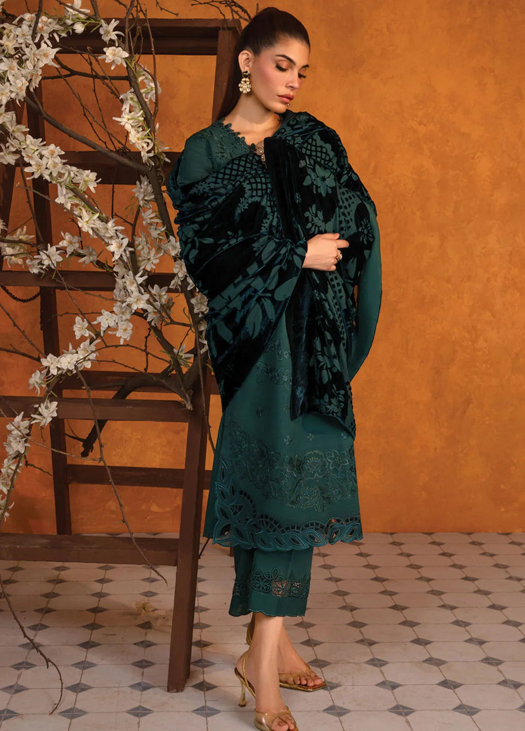 Rang Rasiya Embroidered Khaddar Suit Unstitched 3 Piece D-05 Affogato - Winter Collection