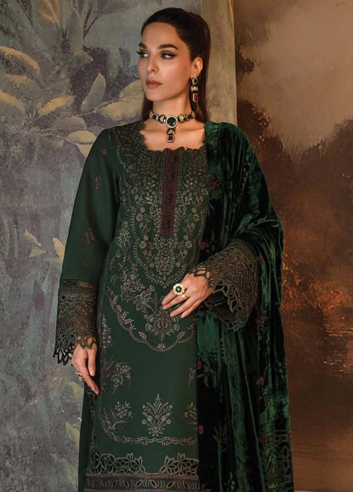 Rang Rasiya Embroidered Khaddar Suit Unstitched 3 Piece D-06 Matcha - Winter Collection