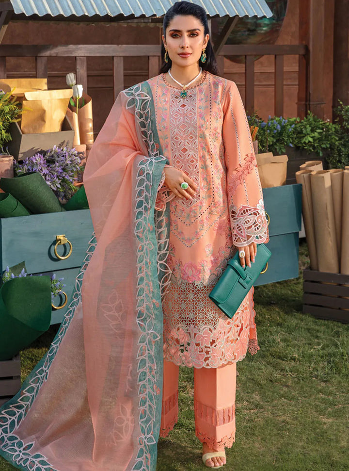 Rang Rasiya Embroidered Lawn Suits Unstitched 3 Piece RR24PE D-03 Rania - Summer Eid Collection