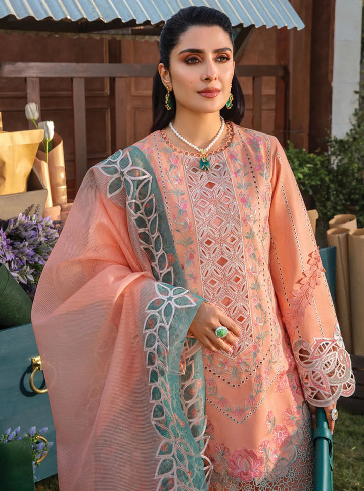 Rang Rasiya Embroidered Lawn Suits Unstitched 3 Piece RR24PE D-03 Rania - Summer Eid Collection