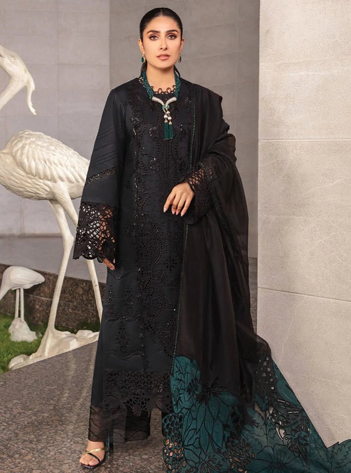 Rang Rasiya Embroidered Lawn Suits Unstitched 3 Piece RR24PE D-06 Zoya - Summer Eid Collection