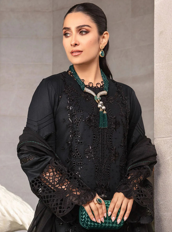 Rang Rasiya Embroidered Lawn Suits Unstitched 3 Piece RR24PE D-06 Zoya - Summer Eid Collection