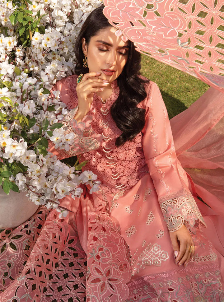 Rang Rasiya Embroidered Lawn Suits Unstitched 3 Piece RR24PE D-07 Parisa - Summer Eid Collection