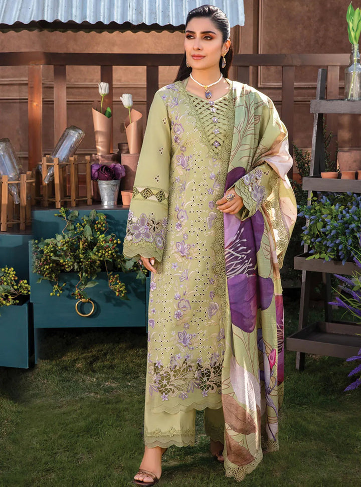 Rang Rasiya Embroidered Lawn Suits Unstitched 3 Piece RR24PE D-08 Aysel - Summer Eid Collection