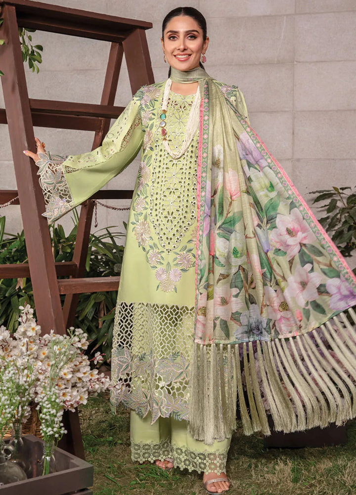 Rang Rasiya Embroidered Lawn Suits Unstitched 3 Piece RR24PE D-10 Geeti - Summer Eid Collection