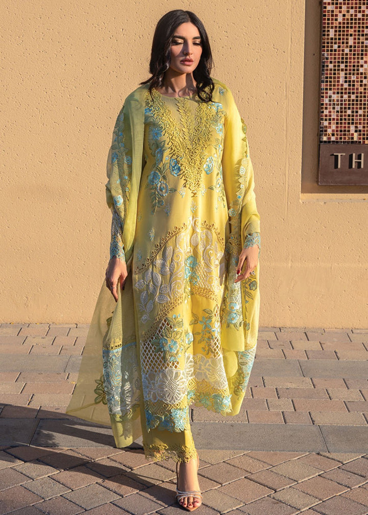 Rang Rasiya Embroidered Lawn Suits Unstitched 3 Piece RR24PS D-01 Amani - Summer Collection