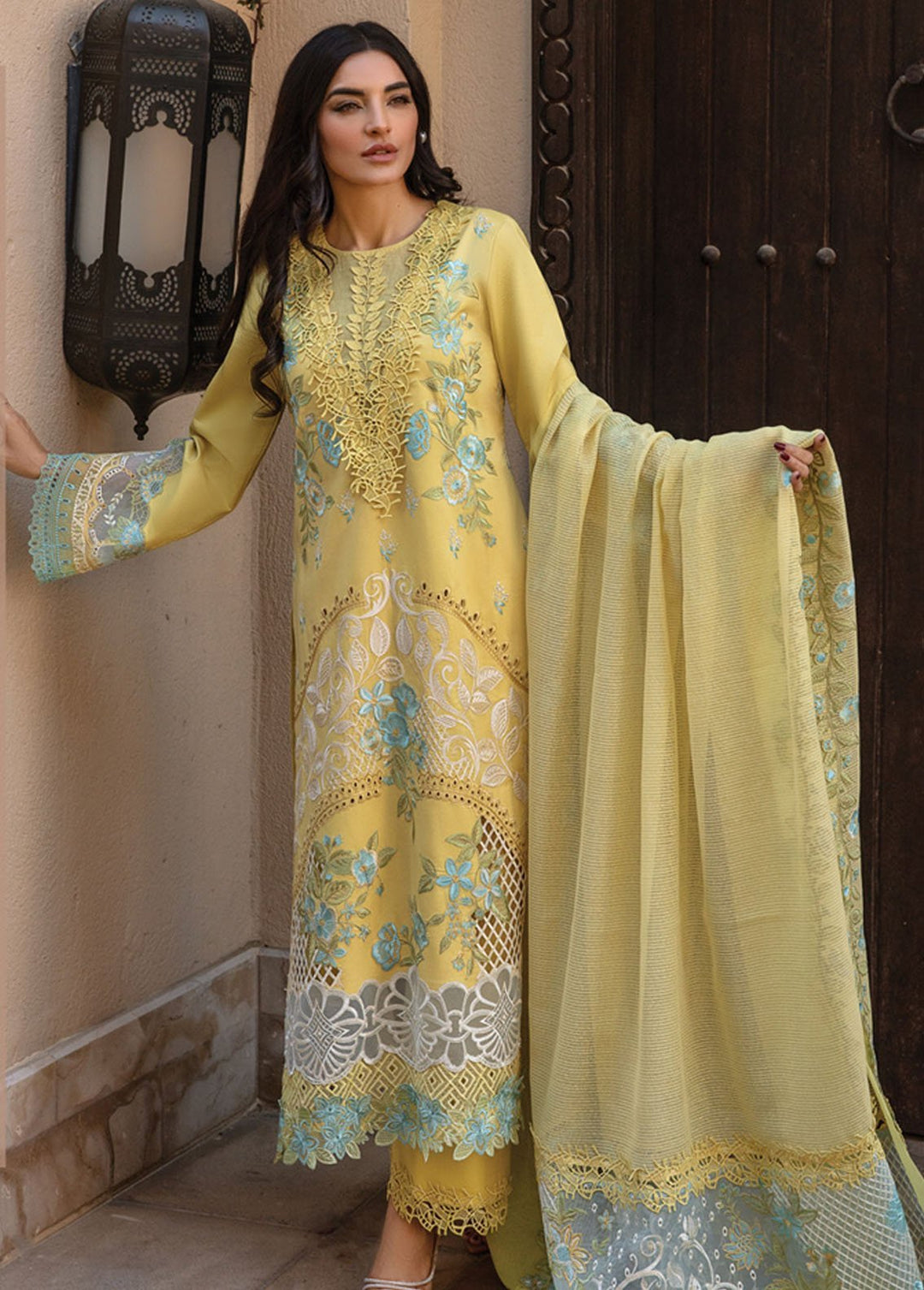 Rang Rasiya Embroidered Lawn Suits Unstitched 3 Piece RR24PS D-01 Amani - Summer Collection