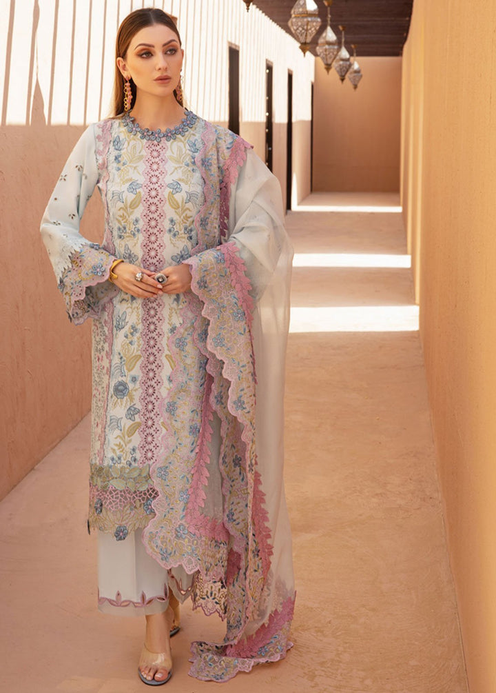 Rang Rasiya Embroidered Lawn Suits Unstitched 3 Piece RR24PS D-02 Parisa - Summer Collection
