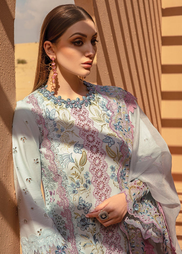 Rang Rasiya Embroidered Lawn Suits Unstitched 3 Piece RR24PS D-02 Parisa - Summer Collection
