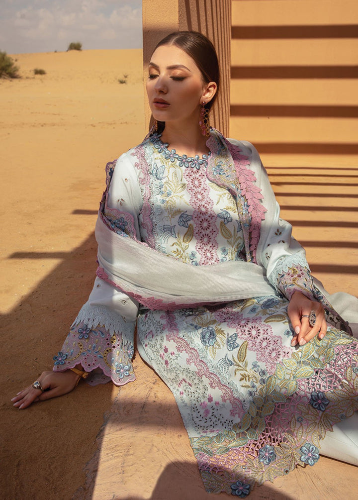 Rang Rasiya Embroidered Lawn Suits Unstitched 3 Piece RR24PS D-02 Parisa - Summer Collection