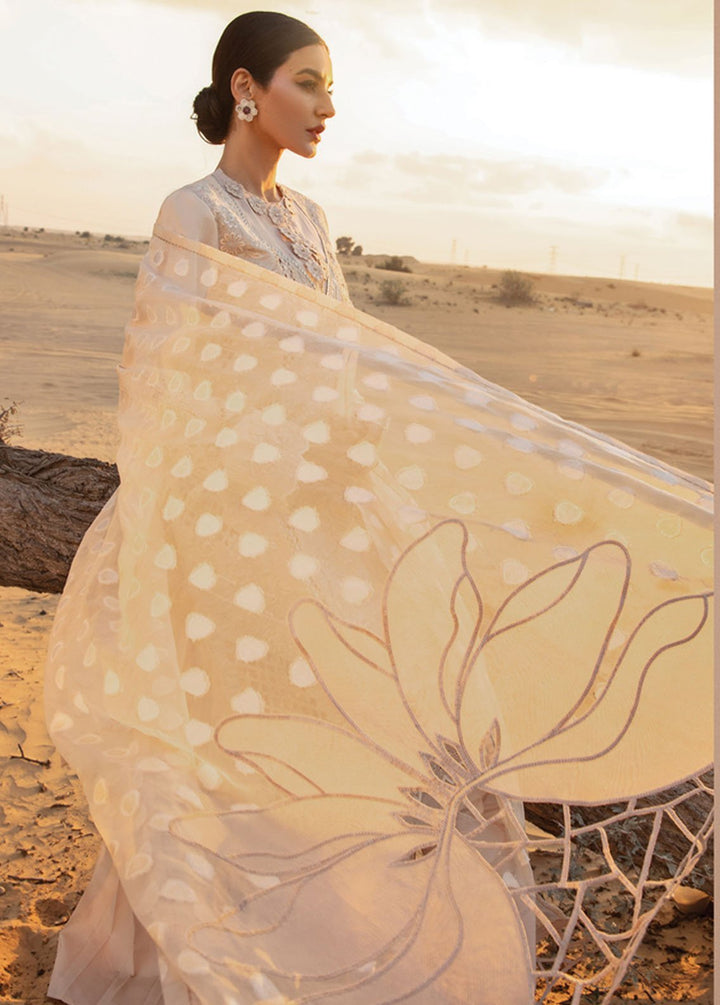 Rang Rasiya Embroidered Lawn Suits Unstitched 3 Piece RR24PS D-03 Elaheh - Summer Collection