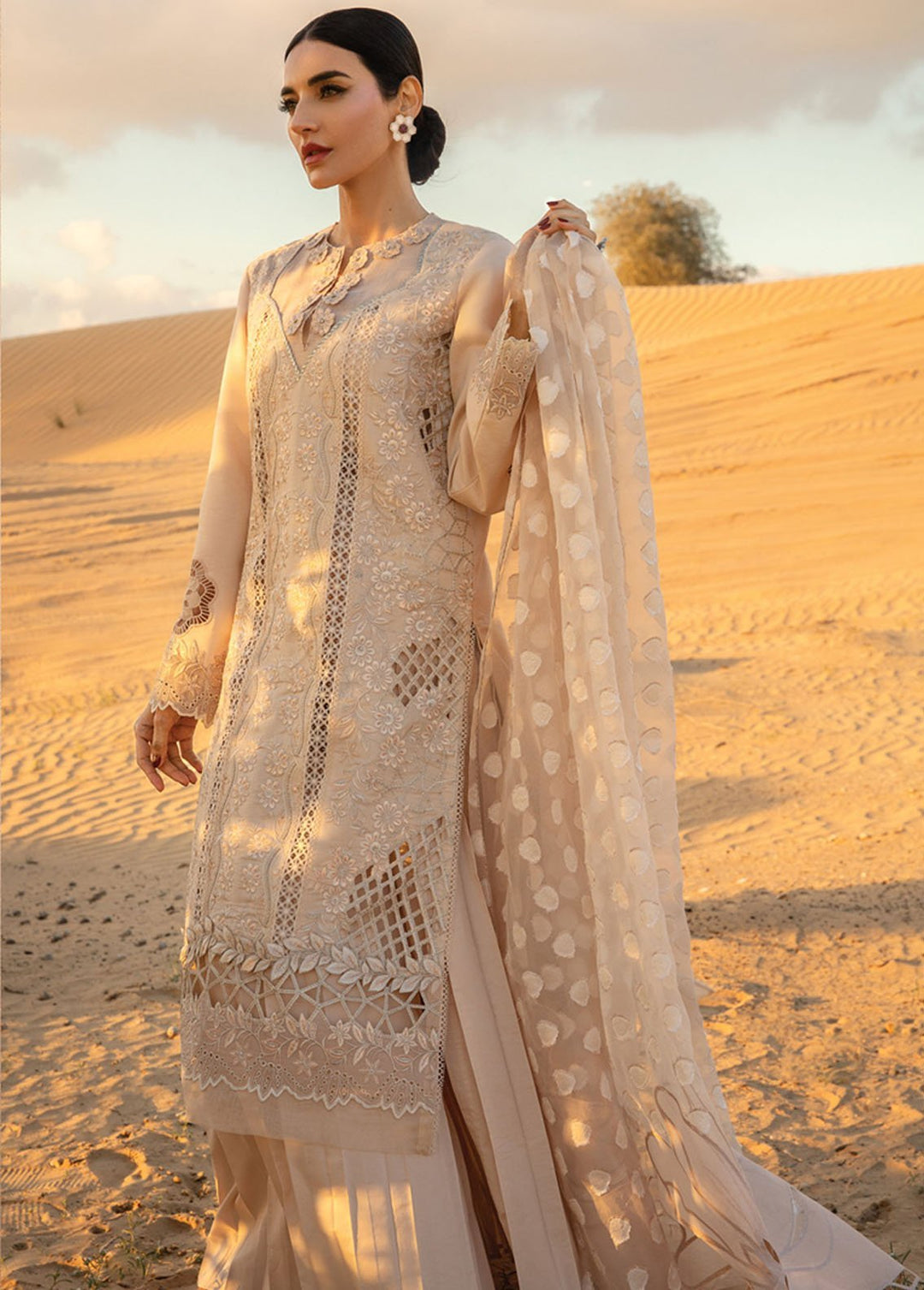 Rang Rasiya Embroidered Lawn Suits Unstitched 3 Piece RR24PS D-03 Elaheh - Summer Collection