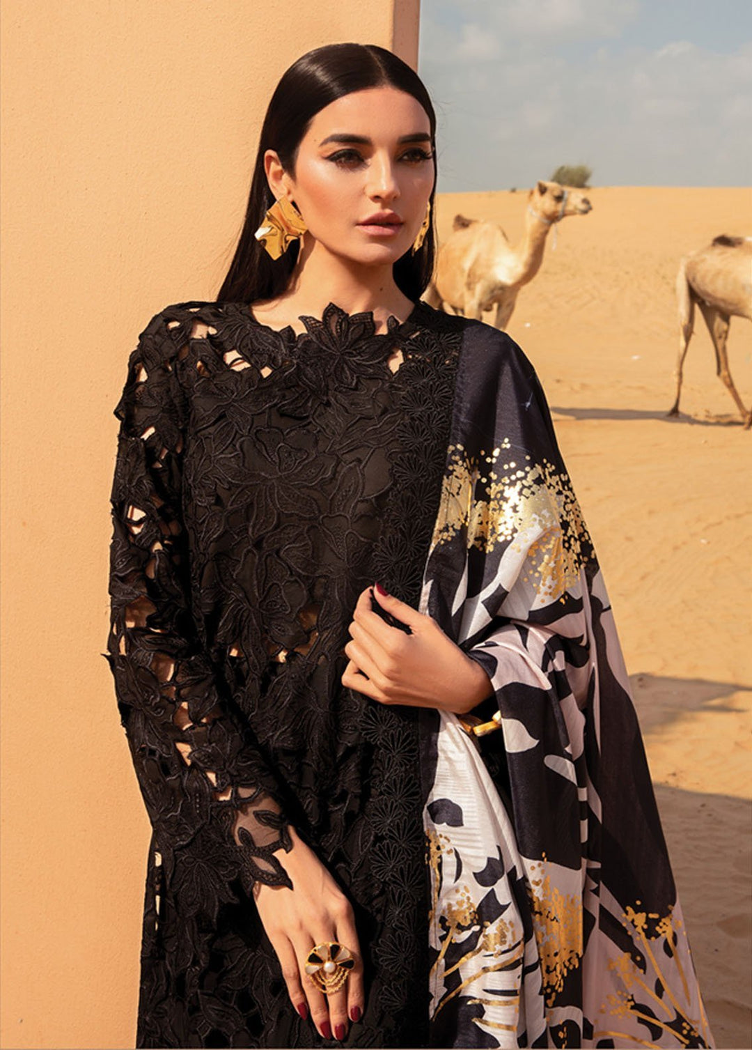 Rang Rasiya Embroidered Lawn Suits Unstitched 3 Piece RR24PS D-04 Alaya - Summer Collection