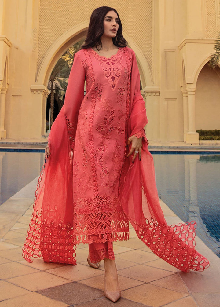 Rang Rasiya Embroidered Lawn Suits Unstitched 3 Piece RR24PS D-05 Natalia - Summer Collection