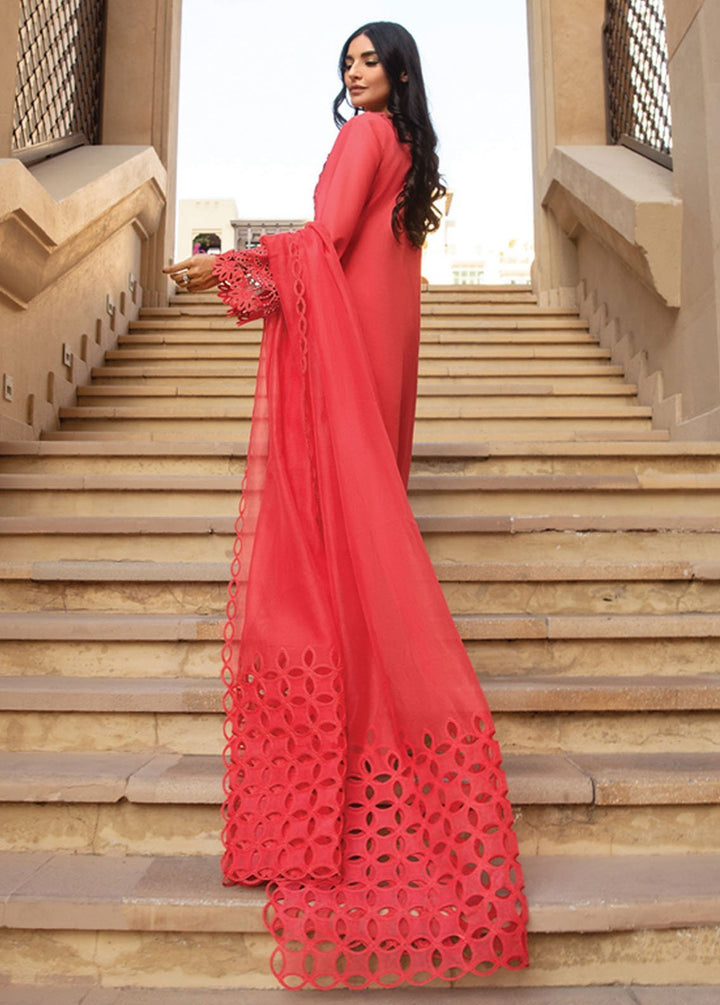 Rang Rasiya Embroidered Lawn Suits Unstitched 3 Piece RR24PS D-05 Natalia - Summer Collection