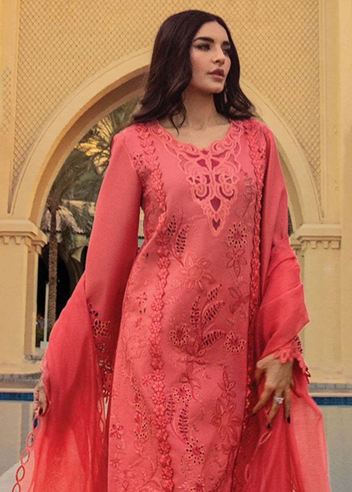 Rang Rasiya Embroidered Lawn Suits Unstitched 3 Piece RR24PS D-05 Natalia - Summer Collection
