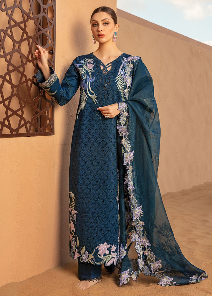 Rang Rasiya Embroidered Lawn Suits Unstitched 3 Piece RR24PS D-06 Mahsa - Summer Collection
