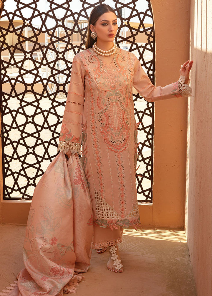 Rang Rasiya Embroidered Lawn Suits Unstitched 3 Piece RR24PS D-07 Minaal - Summer Collection