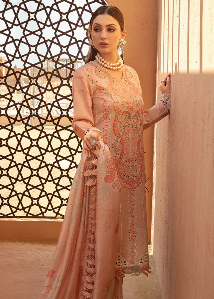 Rang Rasiya Embroidered Lawn Suits Unstitched 3 Piece RR24PS D-07 Minaal - Summer Collection