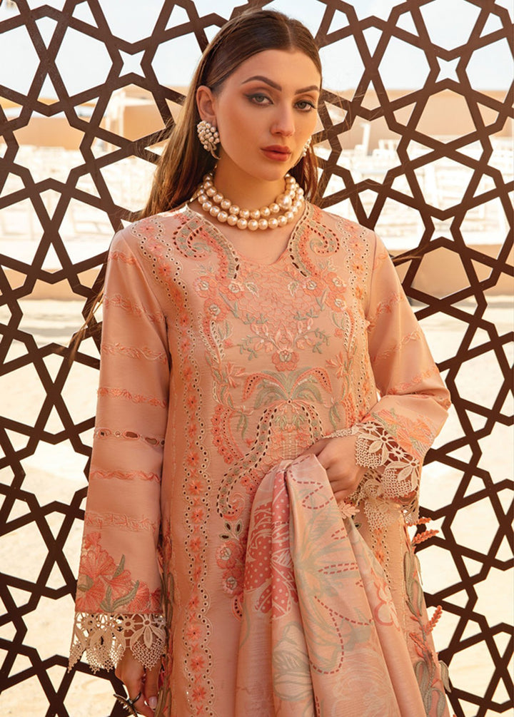 Rang Rasiya Embroidered Lawn Suits Unstitched 3 Piece RR24PS D-07 Minaal - Summer Collection