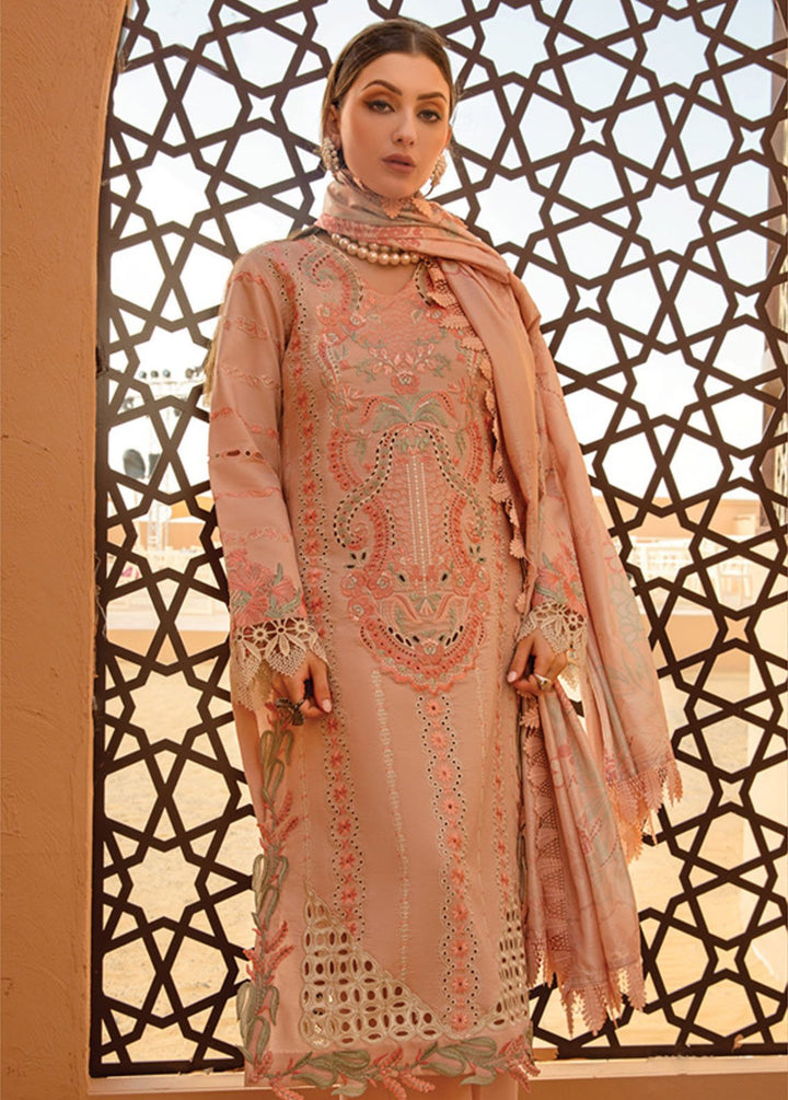 Rang Rasiya Embroidered Lawn Suits Unstitched 3 Piece RR24PS D-07 Minaal - Summer Collection