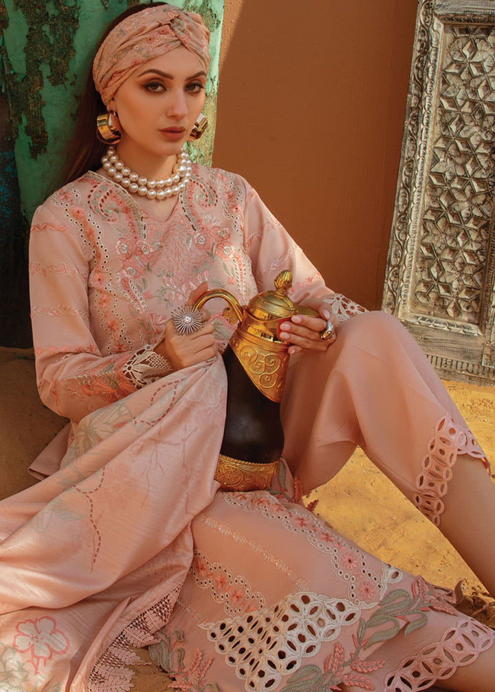 Rang Rasiya Embroidered Lawn Suits Unstitched 3 Piece RR24PS D-07 Minaal - Summer Collection