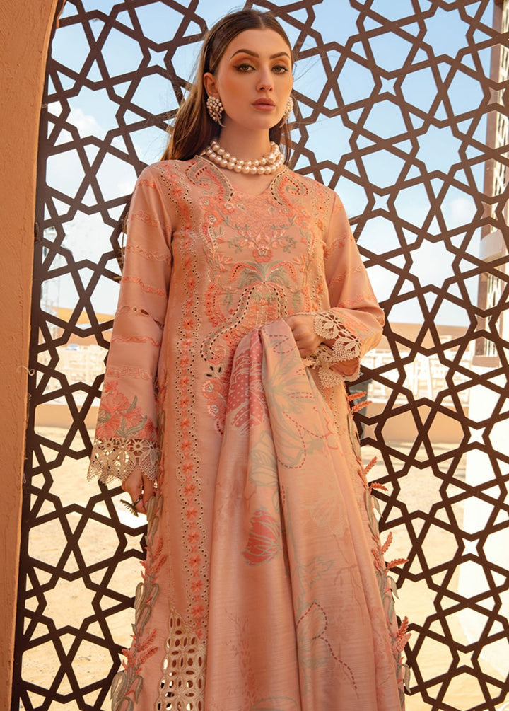 Rang Rasiya Embroidered Lawn Suits Unstitched 3 Piece RR24PS D-07 Minaal - Summer Collection
