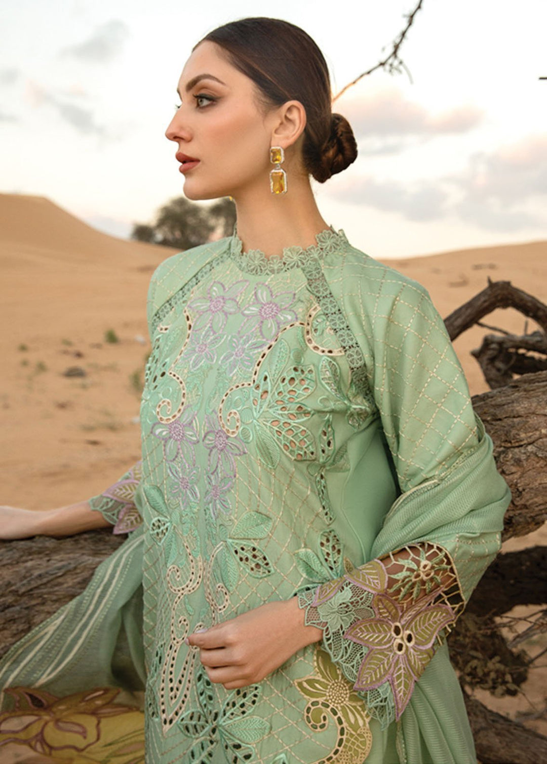 Rang Rasiya Embroidered Lawn Suits Unstitched 3 Piece RR24PS D-08 Elnaz - Summer Collection