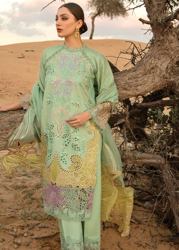 Rang Rasiya Embroidered Lawn Suits Unstitched 3 Piece RR24PS D-08 Elnaz - Summer Collection