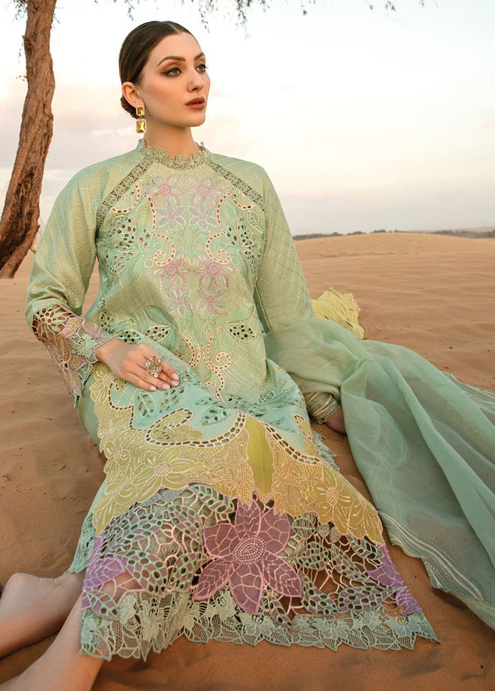 Rang Rasiya Embroidered Lawn Suits Unstitched 3 Piece RR24PS D-08 Elnaz - Summer Collection