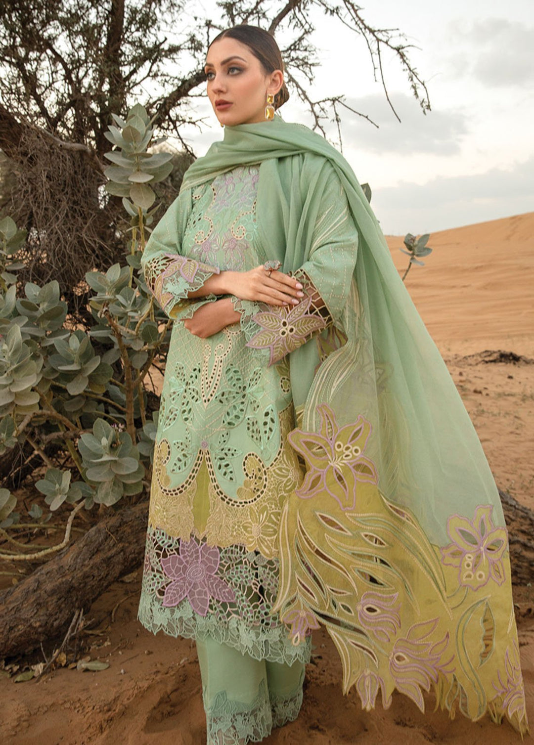 Rang Rasiya Embroidered Lawn Suits Unstitched 3 Piece RR24PS D-08 Elnaz - Summer Collection