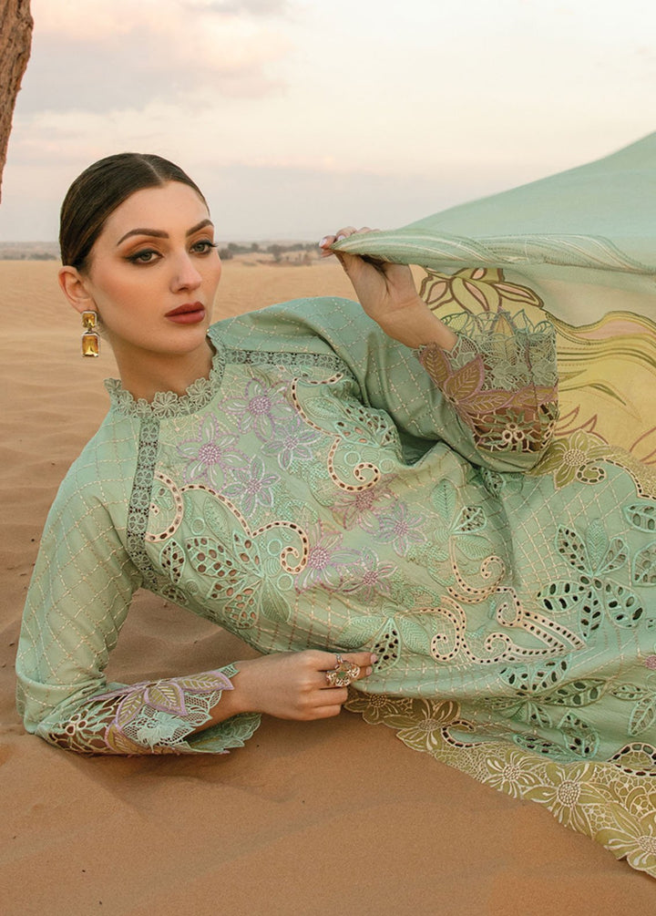 Rang Rasiya Embroidered Lawn Suits Unstitched 3 Piece RR24PS D-08 Elnaz - Summer Collection