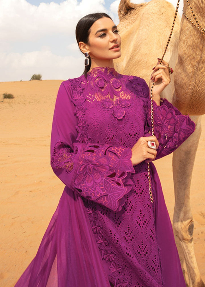 Rang Rasiya Embroidered Lawn Suits Unstitched 3 Piece RR24PS D-09 Zariah - Summer Collection