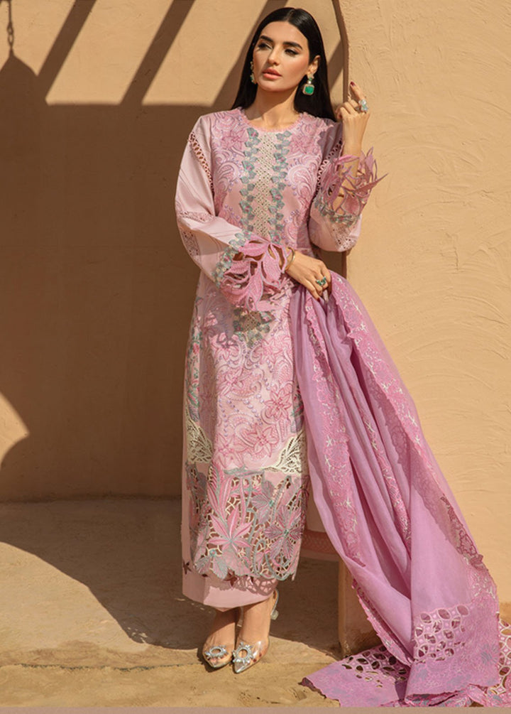 Rang Rasiya Embroidered Lawn Suits Unstitched 3 Piece RR24PS D-12 Ayleen - Summer Collection