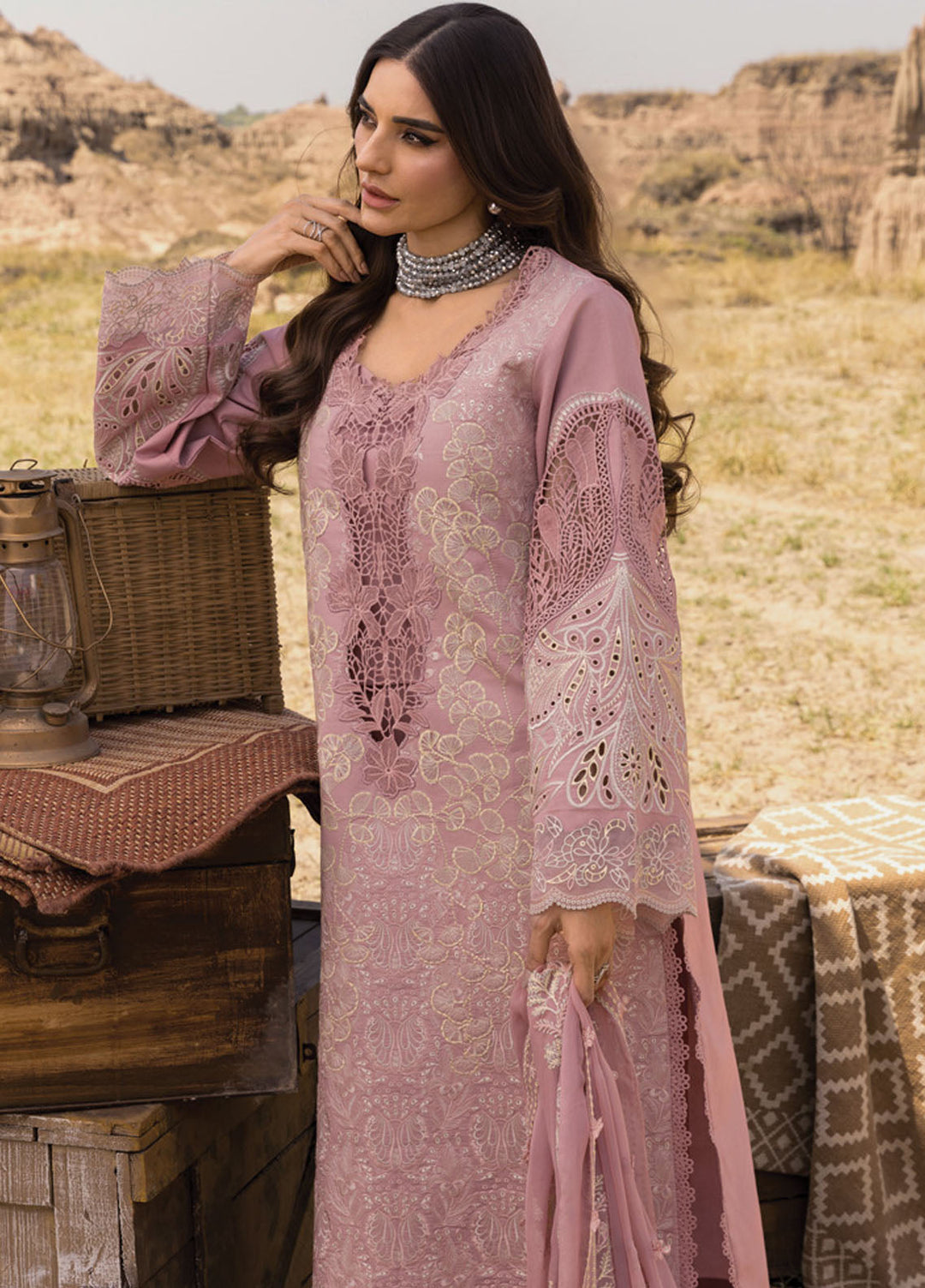 Rang Rasiya Embroidered Lawn Suits Unstitched 3 Piece RR25PE D-02 Aysel - Eid Collection